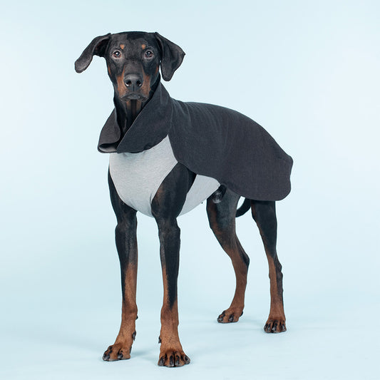 Paikka FIR Lined Wool Mix Winter Dog Shirt Grey Large