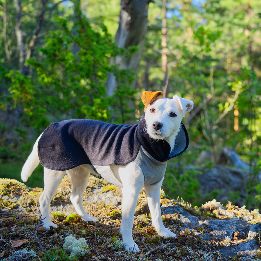 Paikka FIR Lined Wool Mix Winter Dog Shirt Grey Large