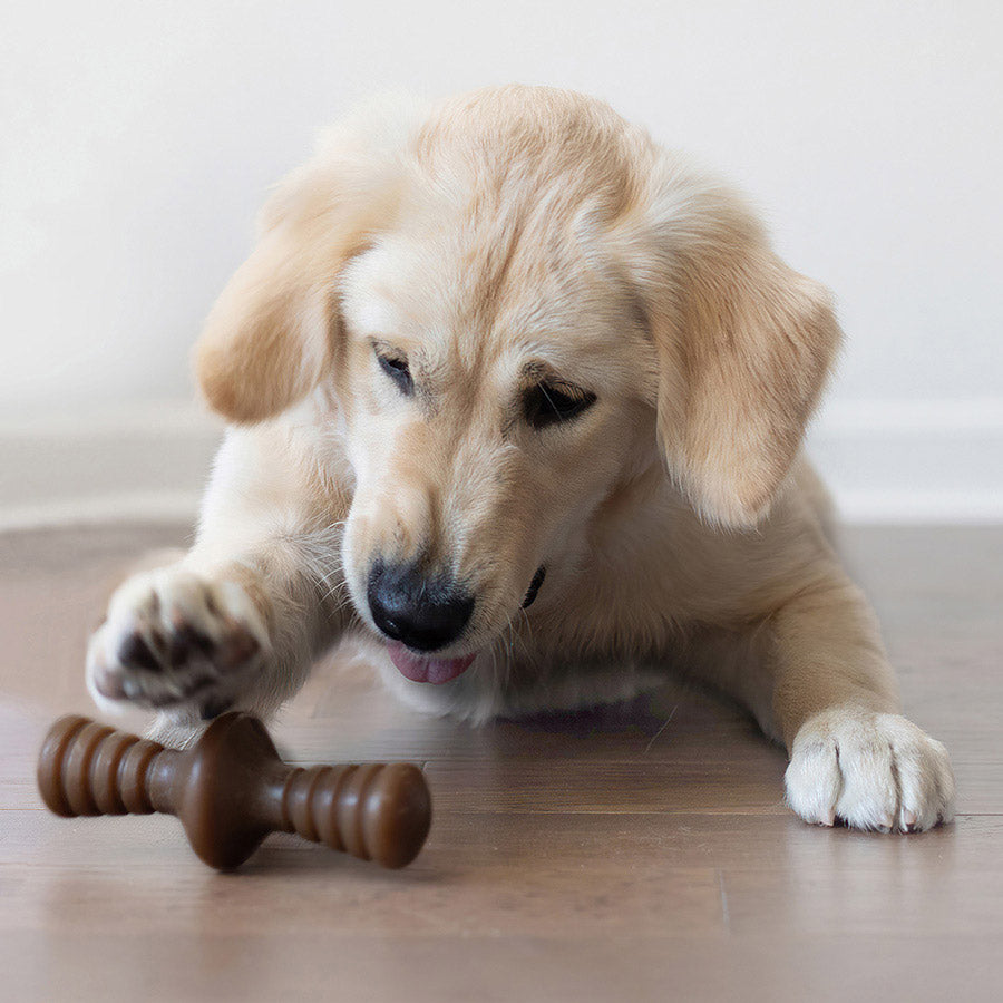 Benebone Zaggler Dog Chew Toy Bacon