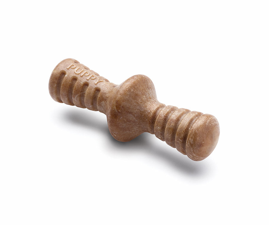 Benebone Puppy Chew Toy Bacon 2 Pack X Small