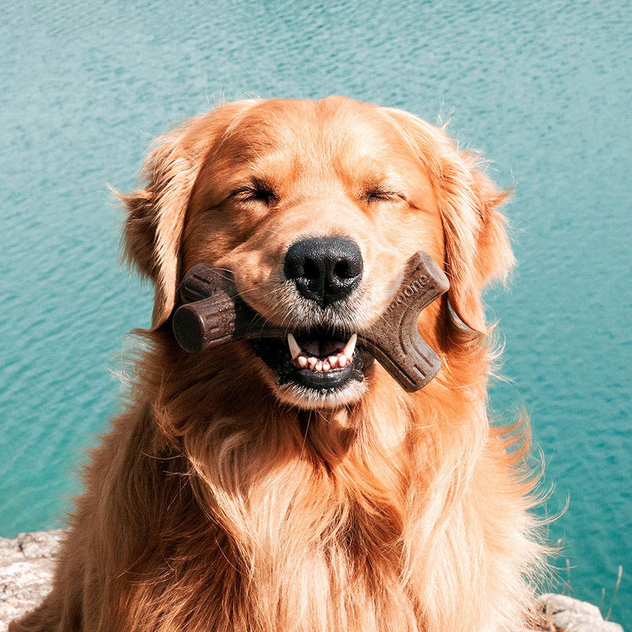 Benebone Maplestick Dog Chew Toy