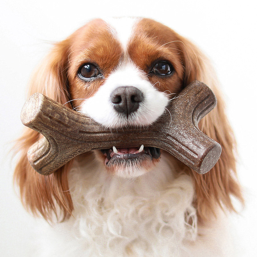 Benebone Maplestick Dog Chew Toy