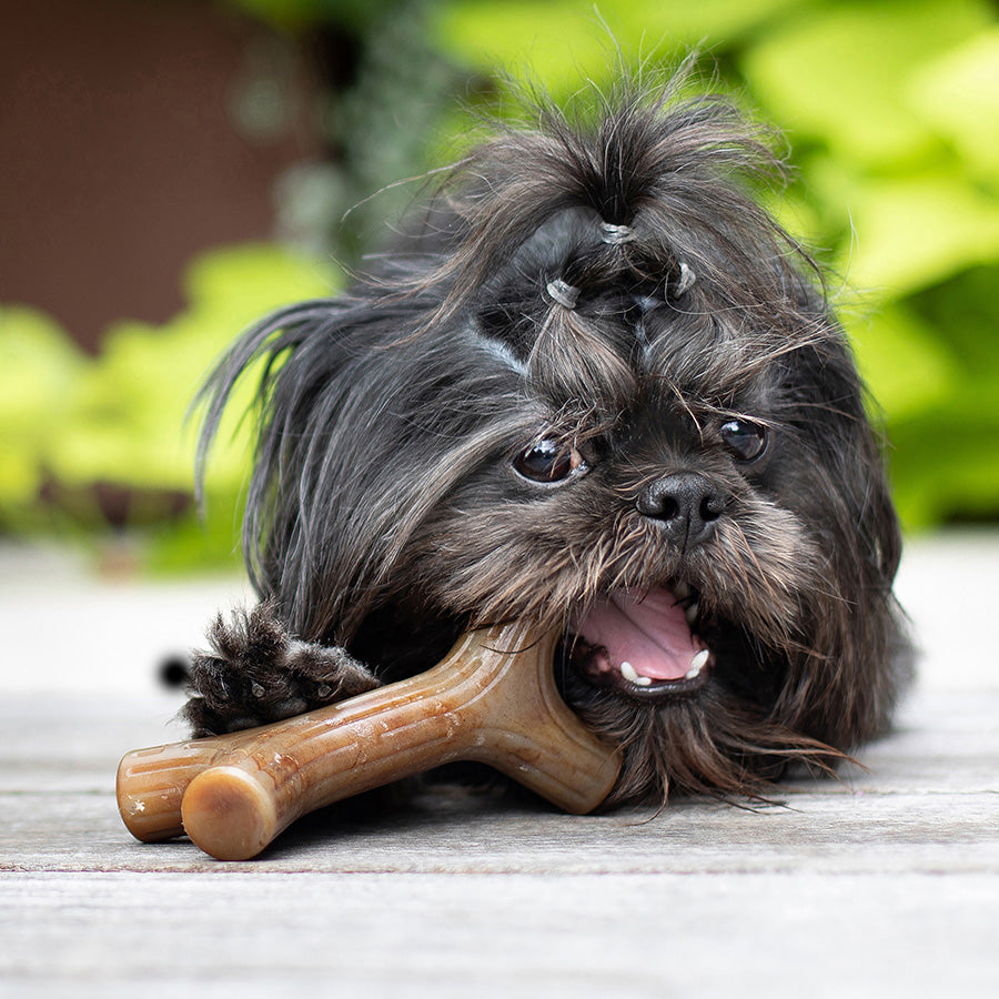 Benebone Maplestick Dog Chew Toy