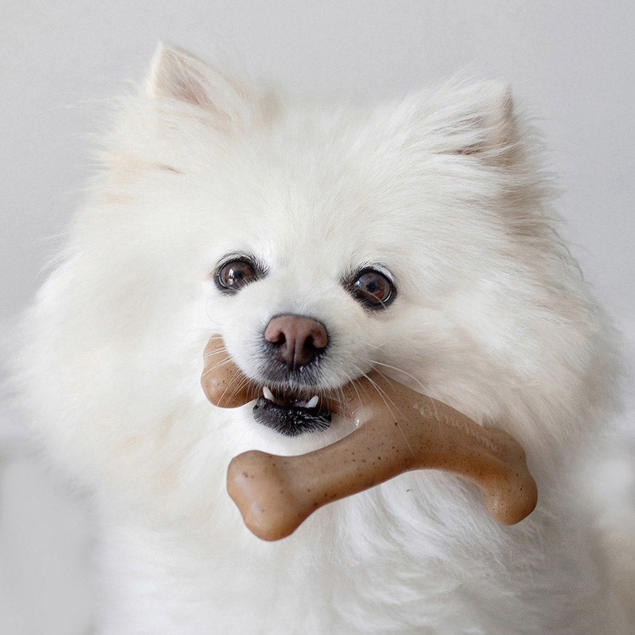 Benebone Wishbone Dog Chew Toy Bacon