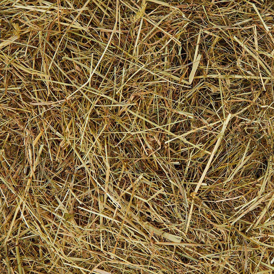 Pets at Home Small Animal Hay with Herbal Forage 300g