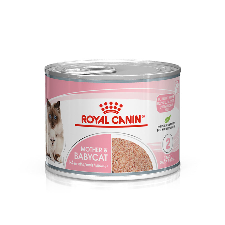 Royal Canin Mother & Babycat Wet Cat Food Mousse 12x195g