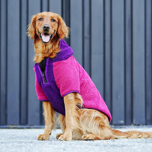 Canada Pooch Cool Factor Dog Hoodie Pink/Purple