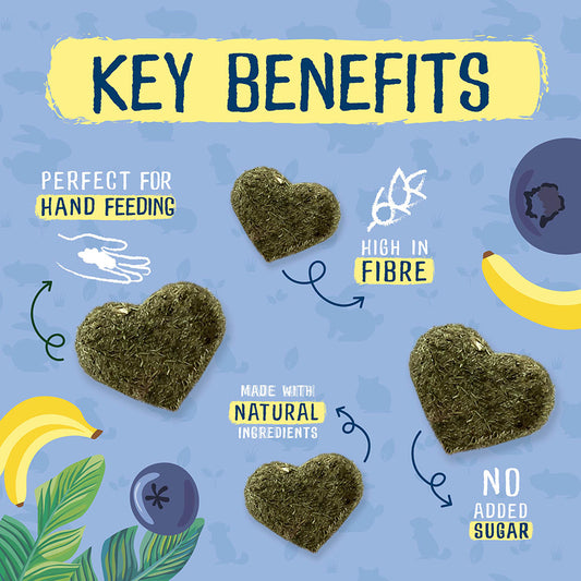 Burgess Excel Small Animal Treats Fruity Feasts with Banana & Blueberry 60g