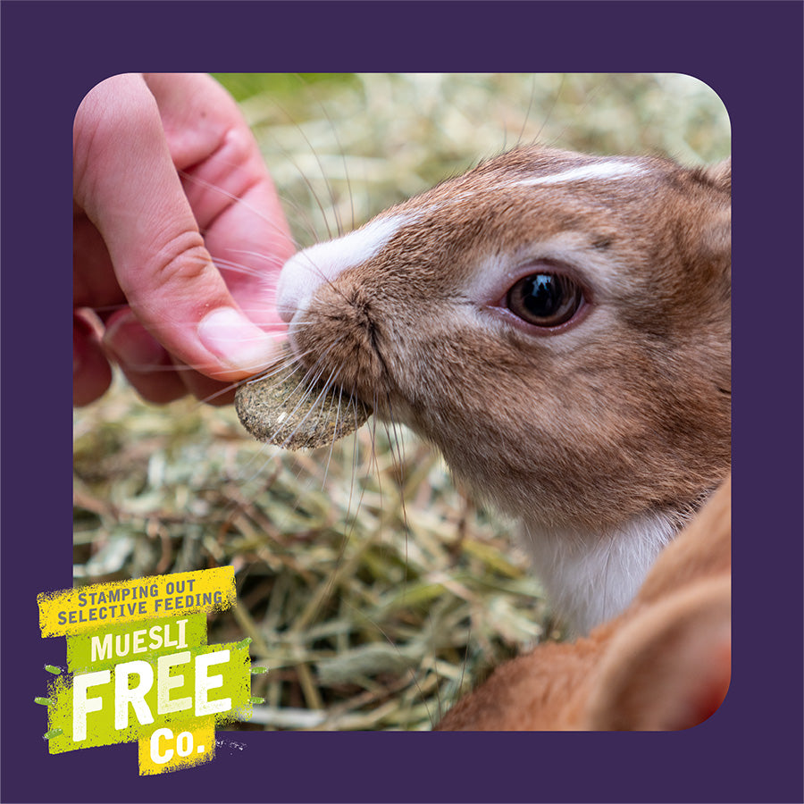 Burgess Excel Small Animal Treats Wildflower Forage 75g