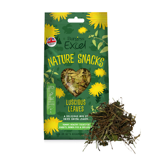 Burgess Excel Small Animal Treats Luscious Leaves 60g