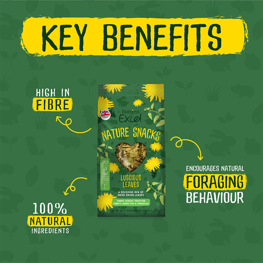 Burgess Excel Small Animal Treats Luscious Leaves 60g