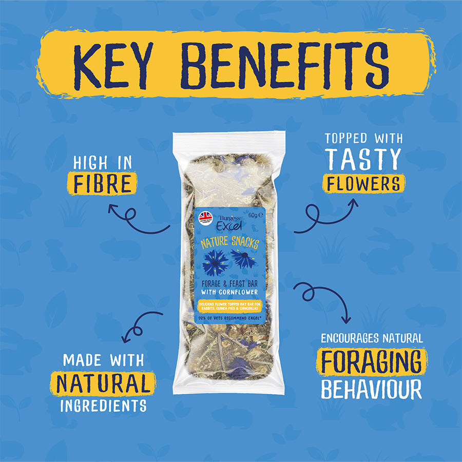 Burgess Excel Small Animal Treats Forage & Feast Hay Bar Cornflower 60g