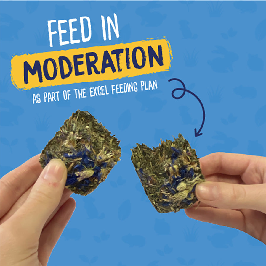 Burgess Excel Small Animal Treats Forage & Feast Hay Bar Cornflower 60g