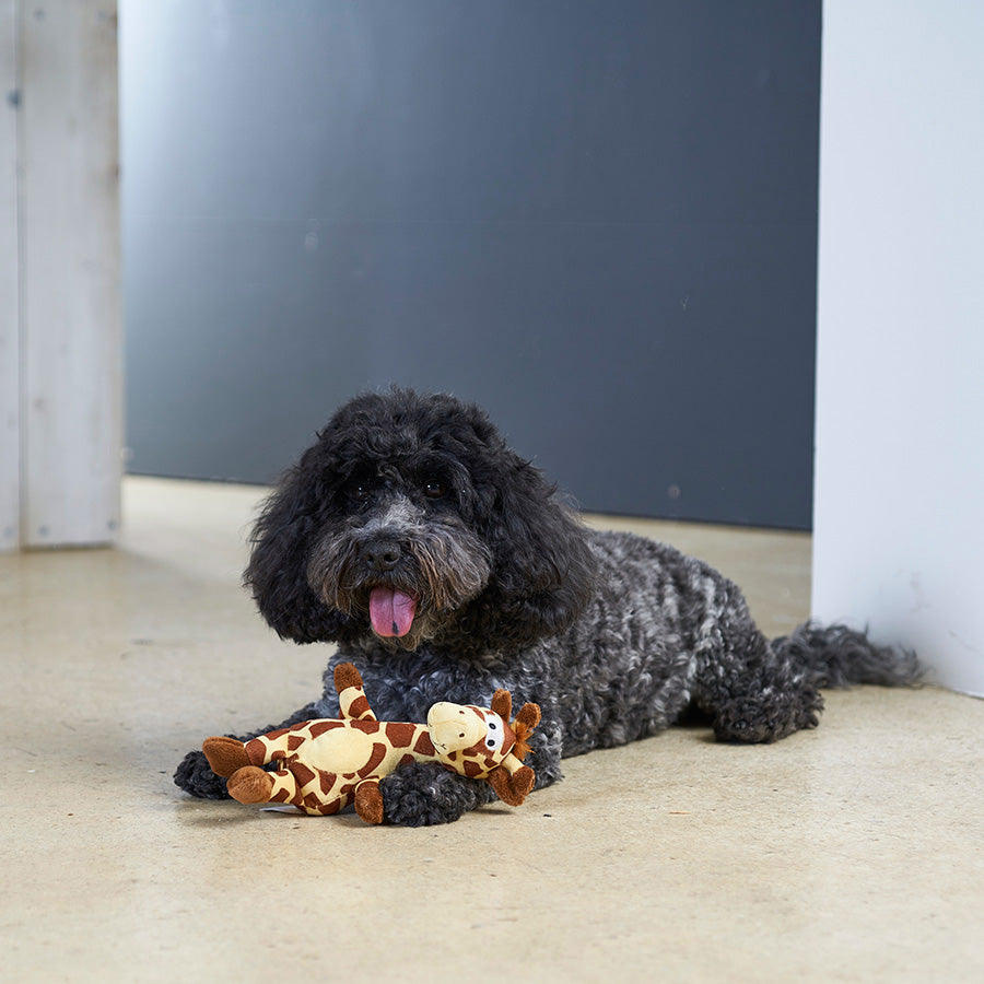 Pets at Home Giraffe Squeaky Dog Toy Mini
