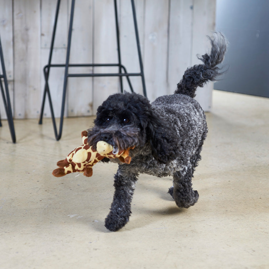 Pets at Home Giraffe Squeaky Dog Toy Mini