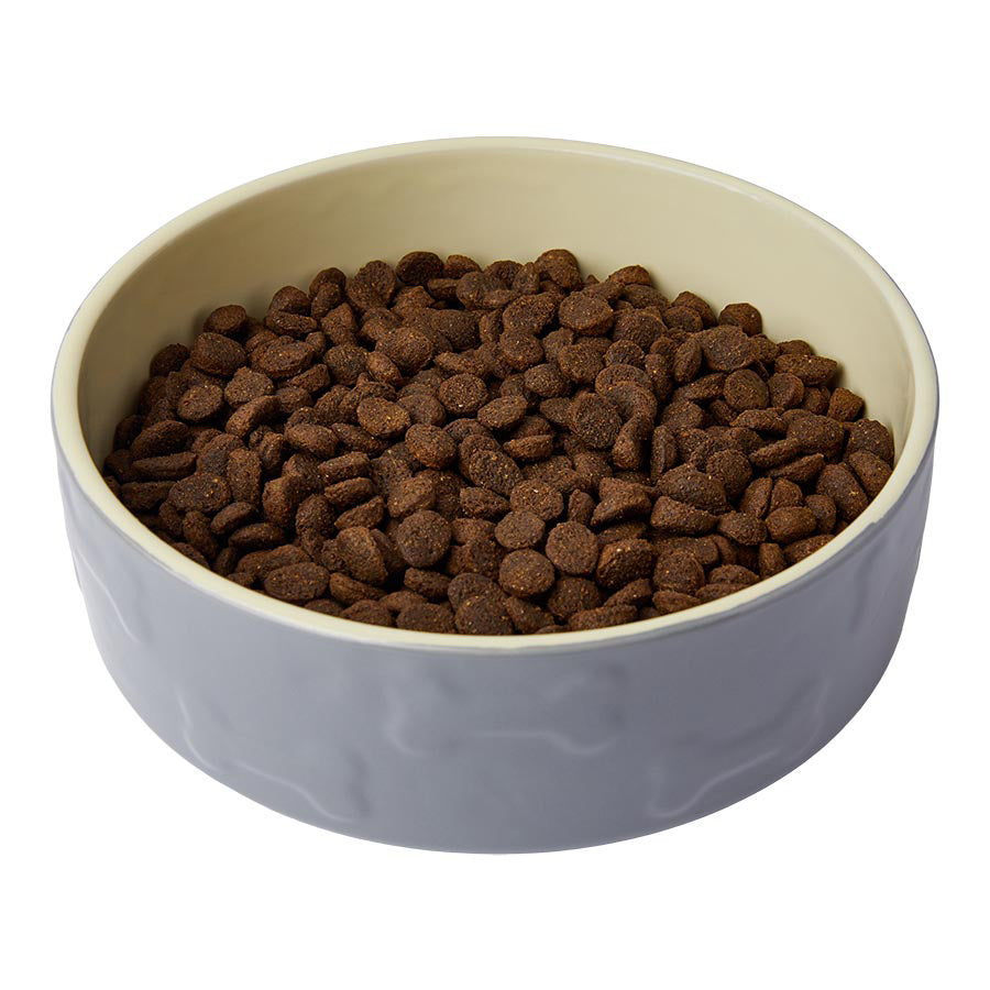 Wainwright's Sensitive Adult Dry Dog Food Atlantic Salmon With Superfoods