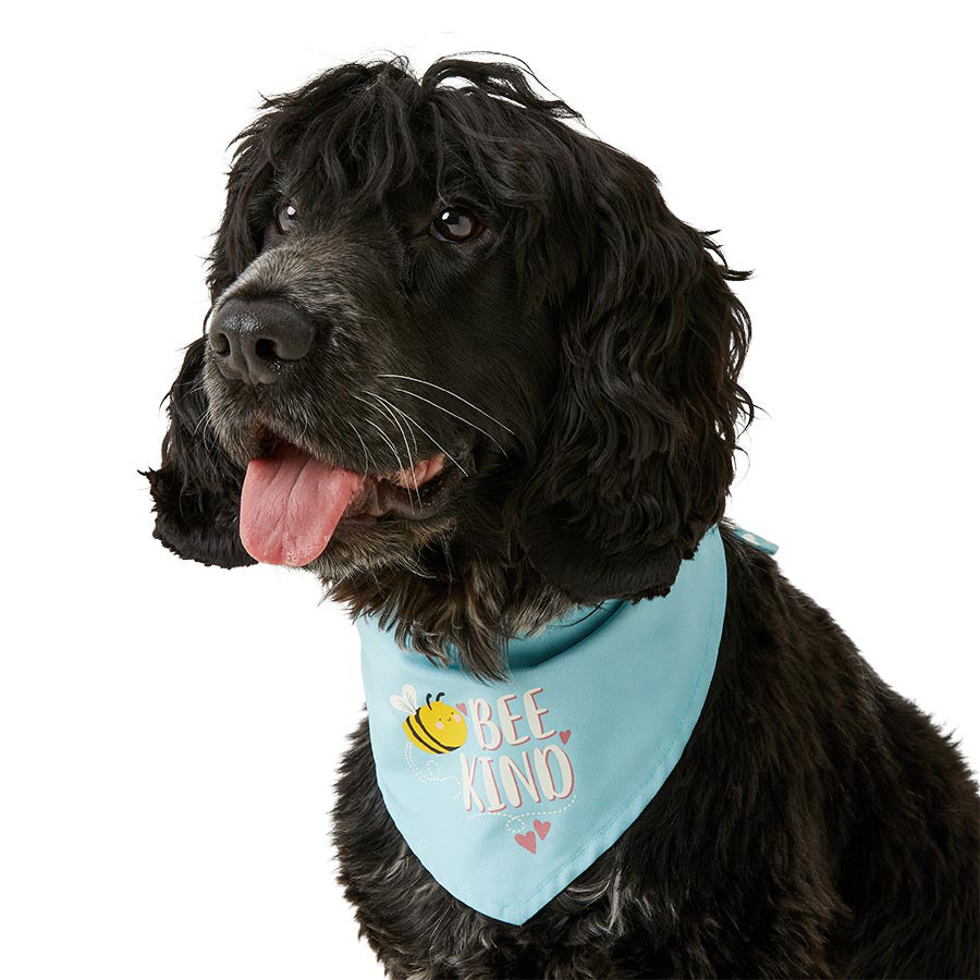 Just For Puppy Bee Kind Reversible Bandana Blue X Small/Small