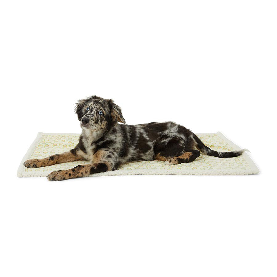 Pets at Home Rainbow Reversible Puppy Blanket