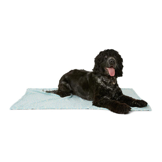 Pets at Home Spotty Fleece Puppy Blanket Blue