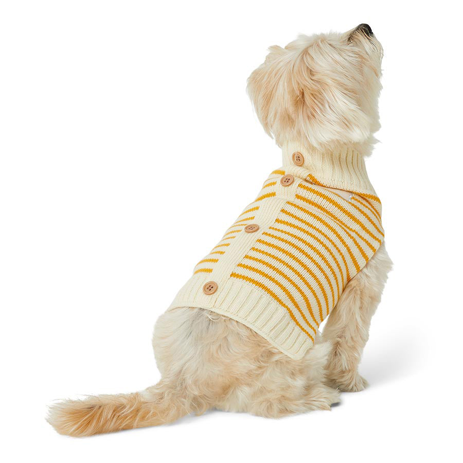 Just For Puppy Stripe Cardigan Cream & Orange