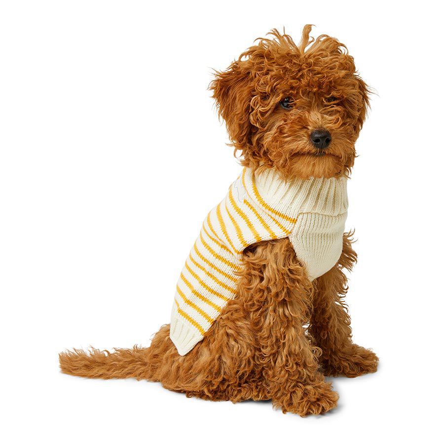 Just For Puppy Stripe Cardigan Cream & Orange
