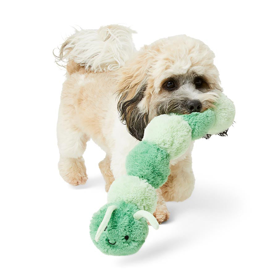 Just For Puppy Squeaky Chloe Caterpillar Toy