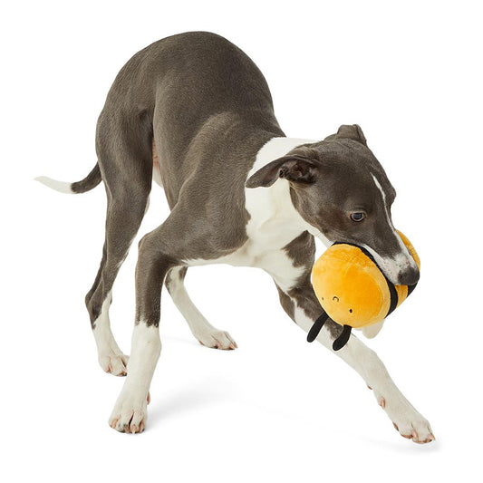 Just For Puppy Benny Bumble Bee Squeaky Toy