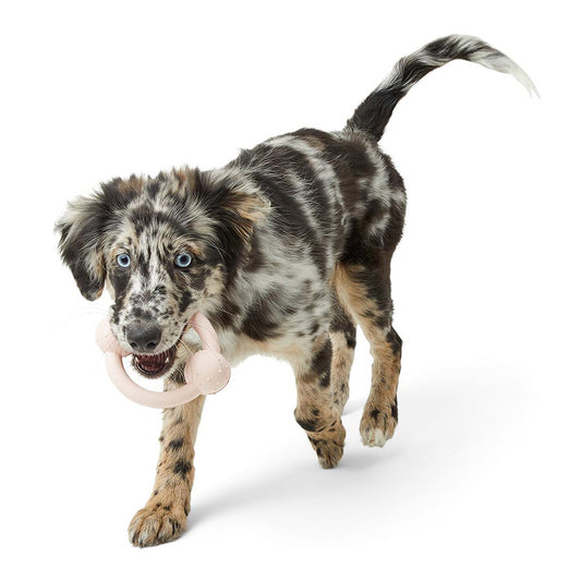 Just For Puppy Rubber Toys 3 Pack