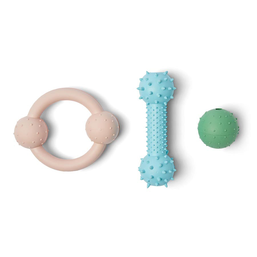 Just For Puppy Rubber Toys 3 Pack