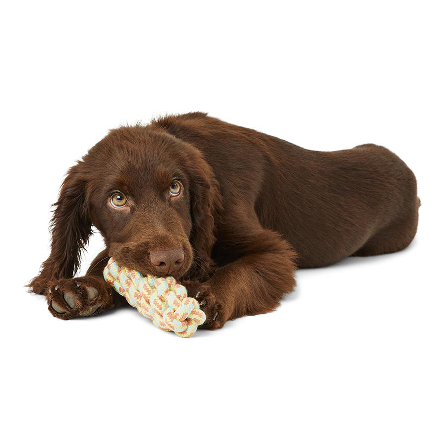 Just For Puppy Rope Toys 3 Pack