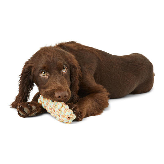 Just For Puppy Rope Toys 3 Pack