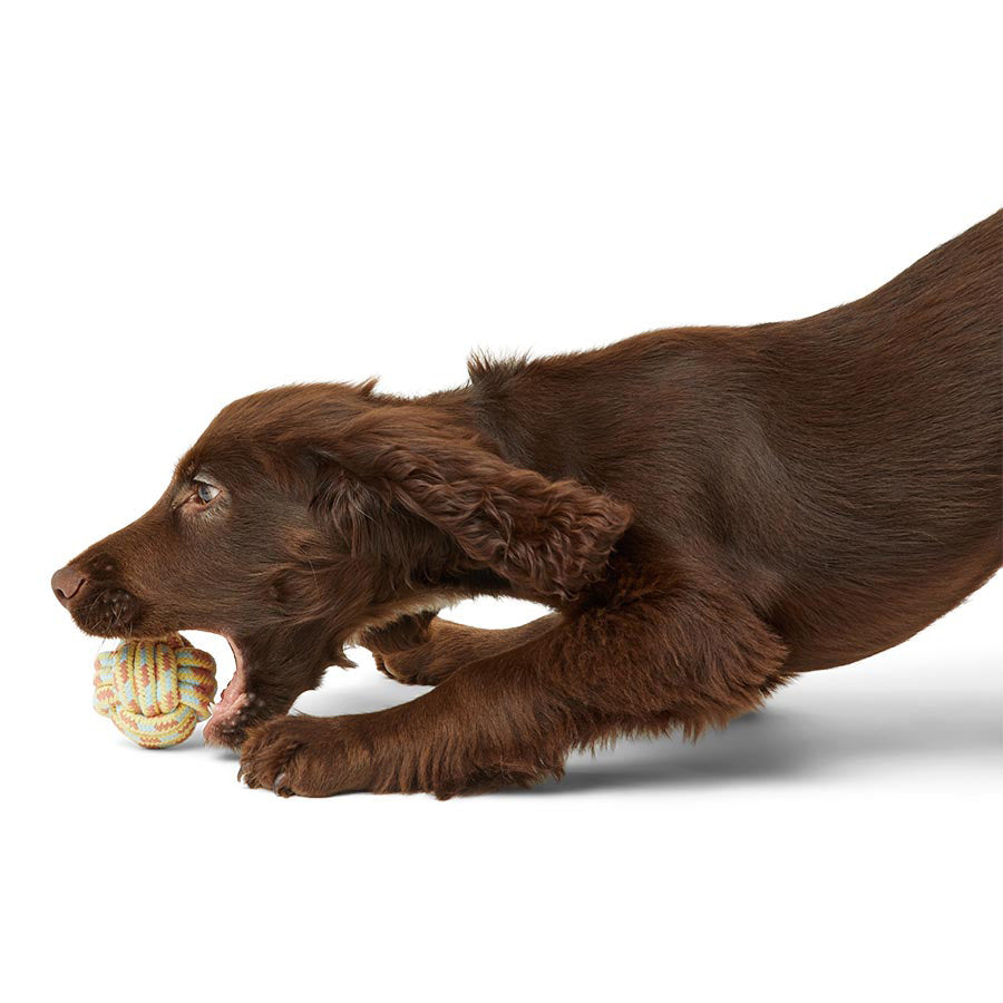 Just For Puppy Rope Toys 3 Pack