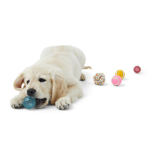 Just For Puppy Mixed Balls 5 Pack