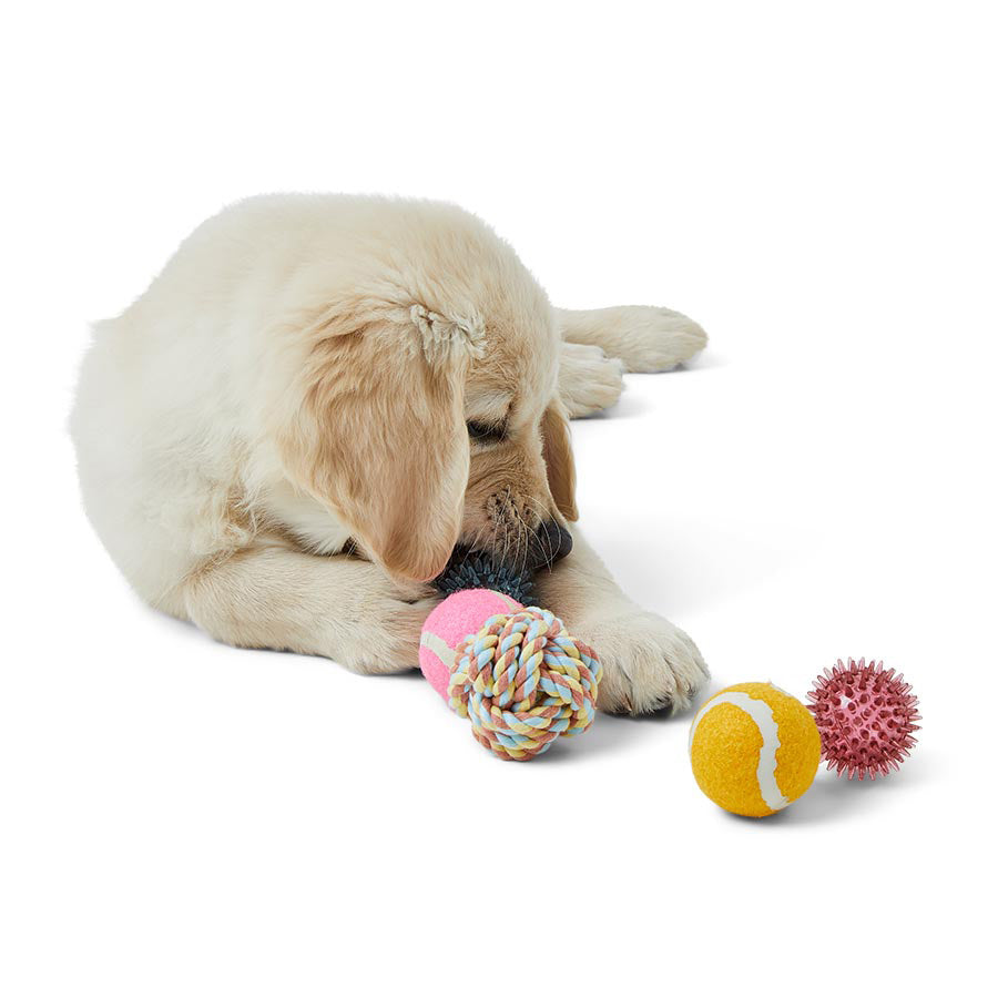 Just For Puppy Mixed Balls 5 Pack