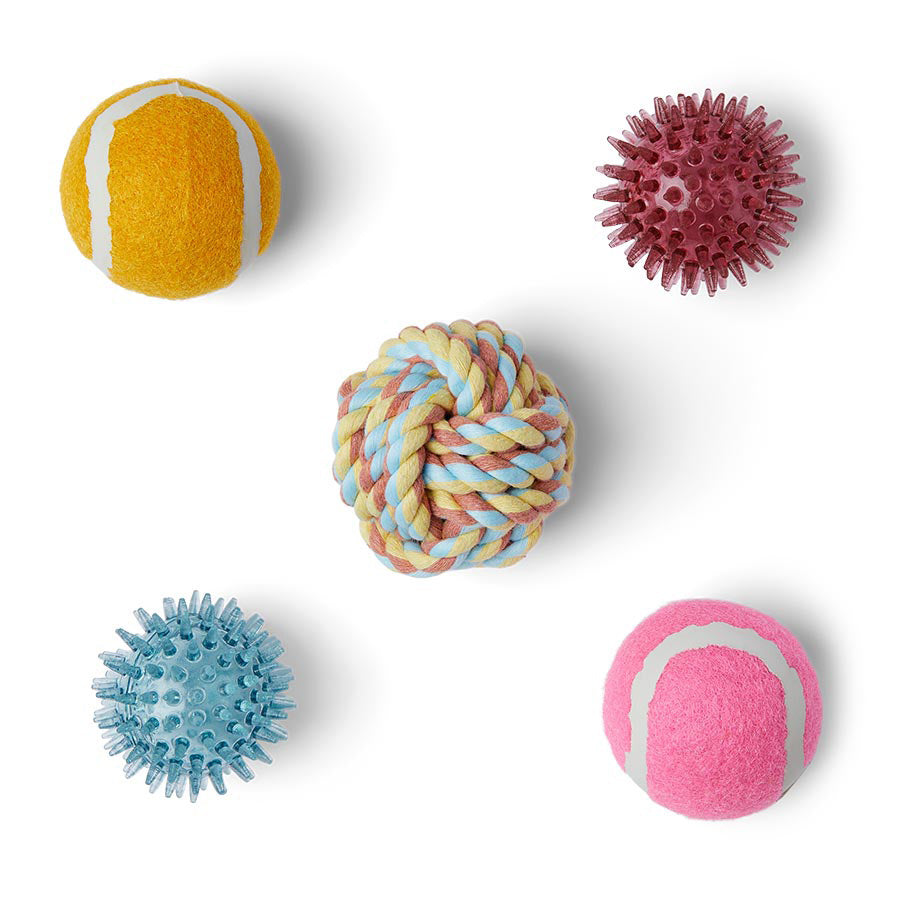 Just For Puppy Mixed Balls 5 Pack