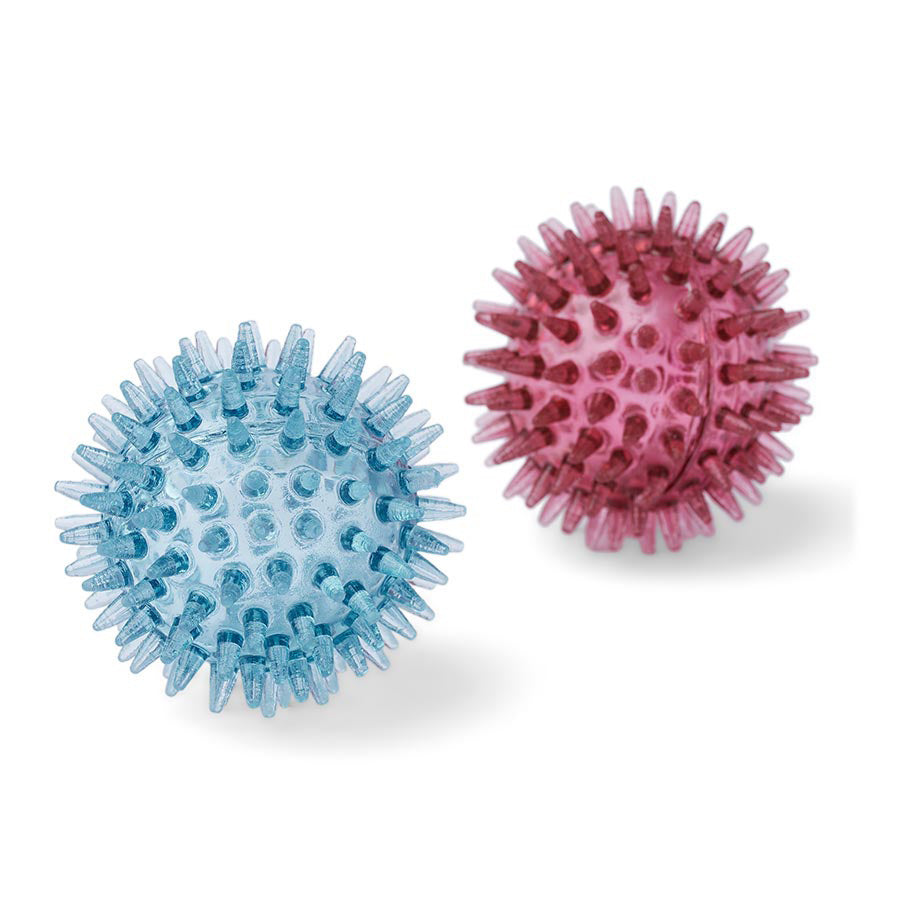 Just For Puppy Mixed Balls 5 Pack