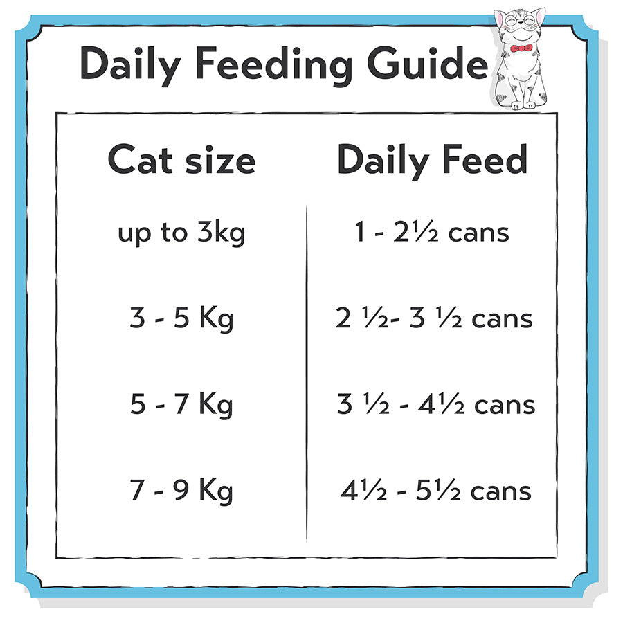 Seriously Good Wet Mature Cat Food Tuna Loin Flakes 12x70g