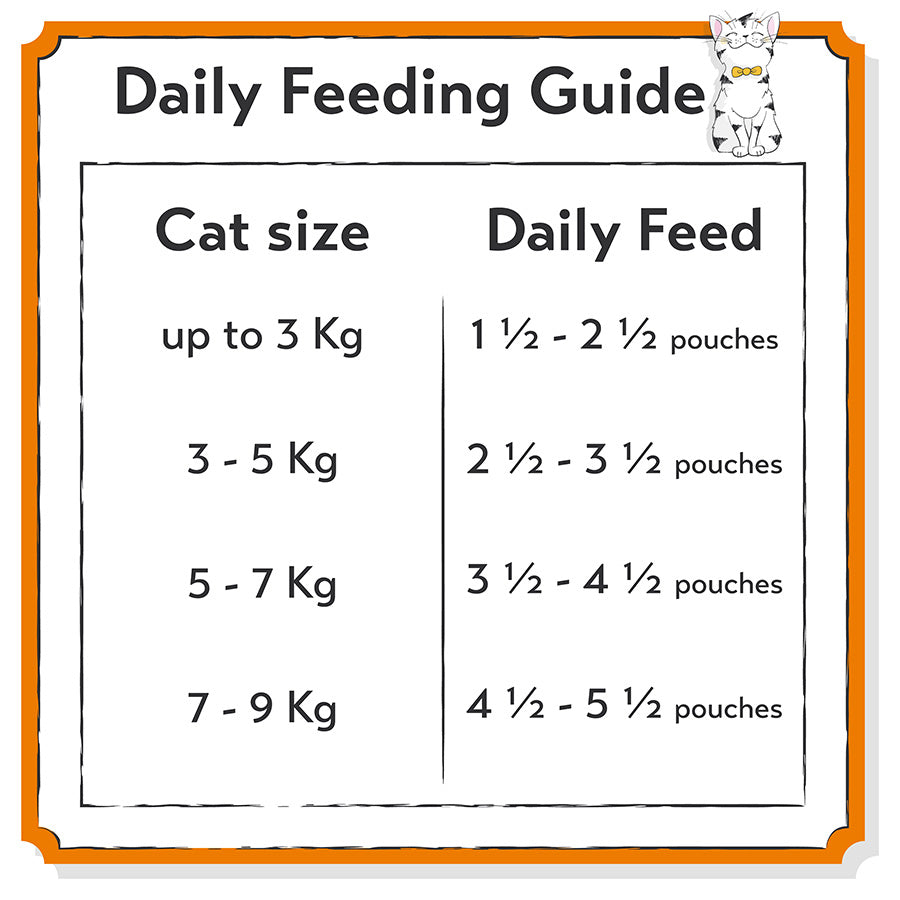 Seriously Good Wet Adult Cat Food Chicken a la Carte Jelly