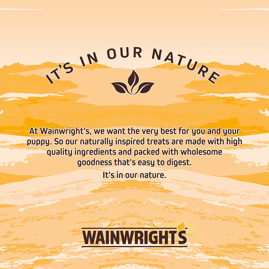 Wainwright's Puppy Freeze Dried Dog Treats Raw Chicken 30g