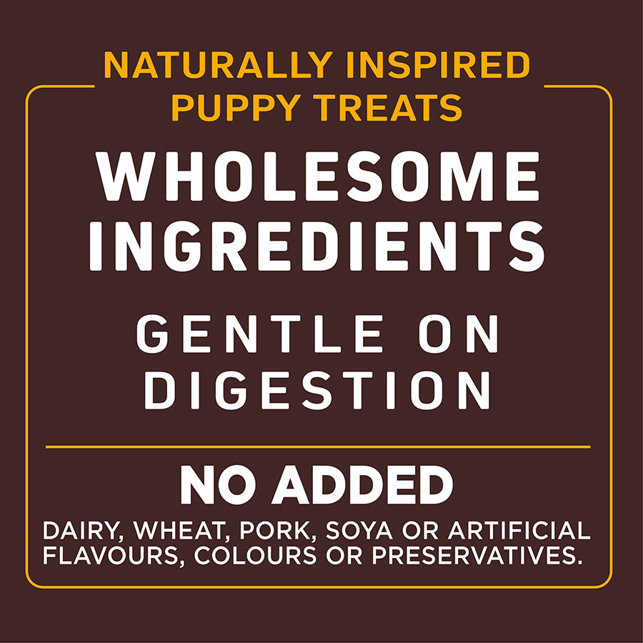 Wainwright's Puppy Freeze Dried Dog Treats Raw Chicken 30g