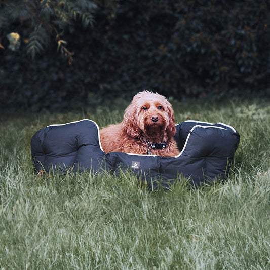 3 Peaks Nevis Dog Bed Black