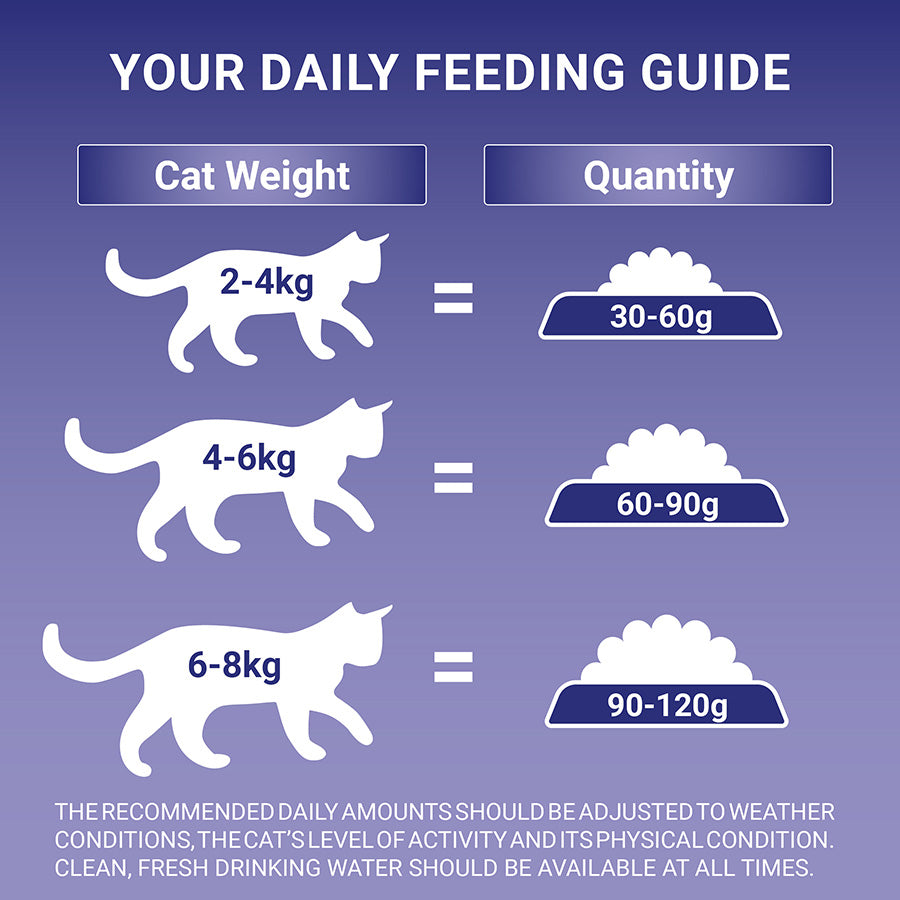 Purina ONE Coat & Hairball Adult Dry Cat Food Chicken 2.8kg
