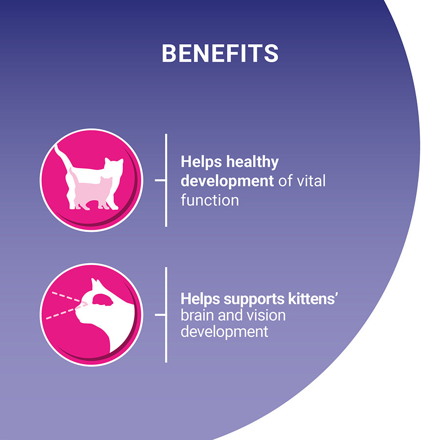 Purina ONE Kitten Dry Cat Food Chicken & Wholegrain 2.8kg