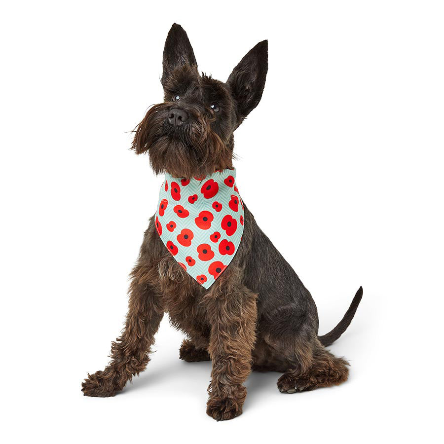 Royal British Legion Poppy Print Dog Bandana