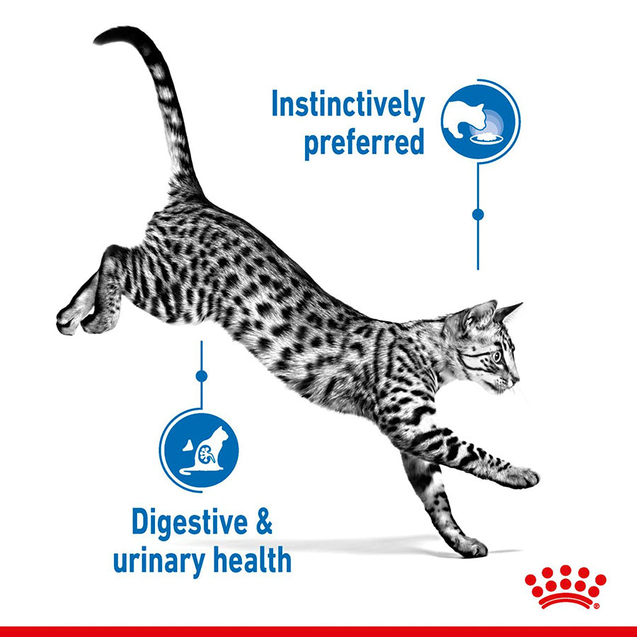 Royal Canin Feline Indoor Sterilised Wet Adult Cat Food In Gravy 12x85g