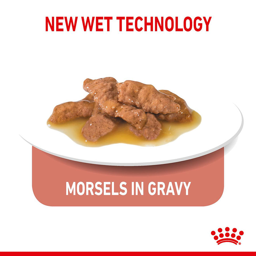 Royal Canin Feline Indoor Sterilised Wet Adult Cat Food In Gravy 12x85g