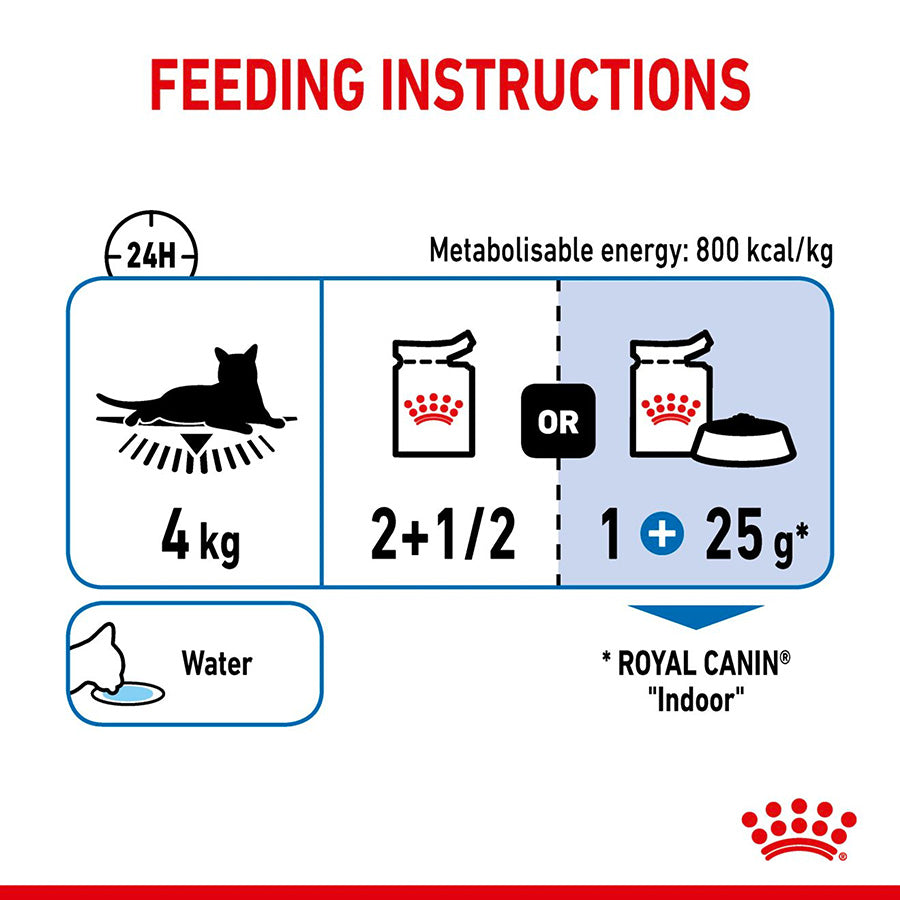 Royal Canin Feline Indoor Sterilised Wet Adult Cat Food In Gravy 12x85g
