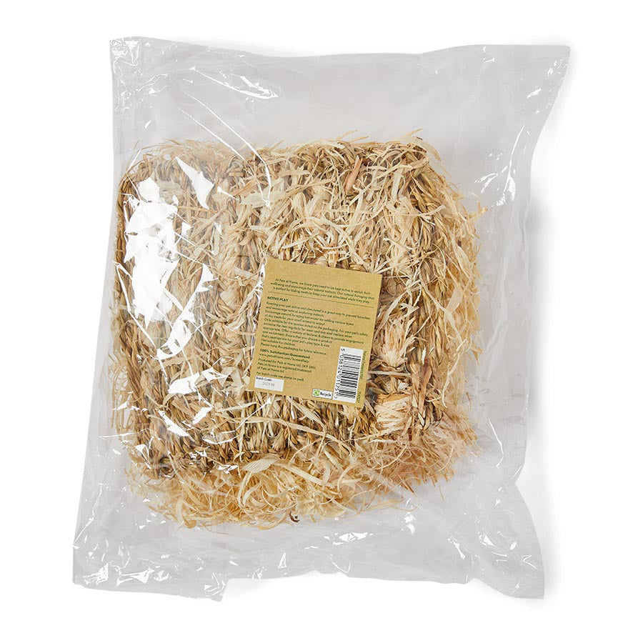 Pets at Home Small Animal Active Play Foraging Mat