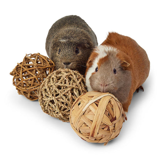 Pets at Home Small Animal Natural Active Play Balls 3 Pack