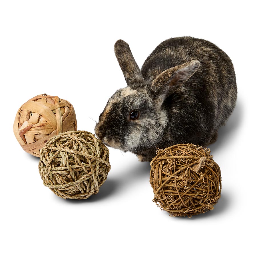 Pets at Home Small Animal Natural Active Play Balls 3 Pack